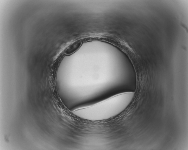 X0000100491256200806130748