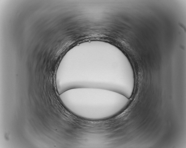 X0000100491257200806130748