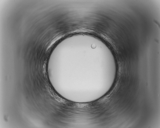 X0000100491258200806130748