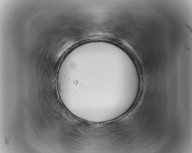X0000100491259200806130748