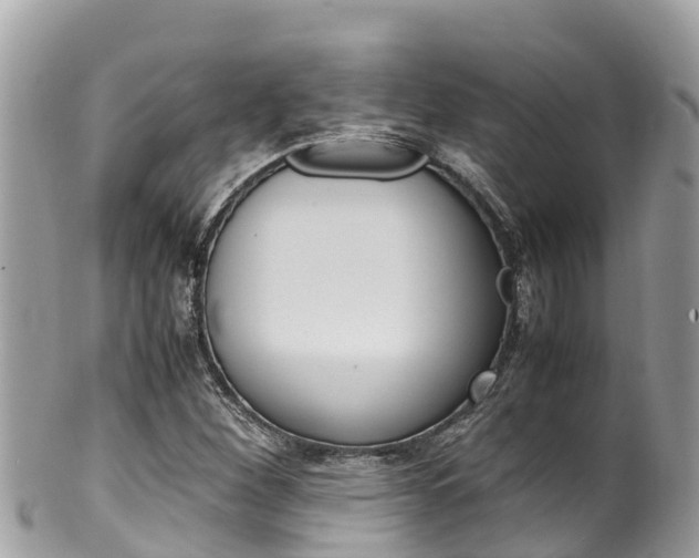X0000100491260200806130748