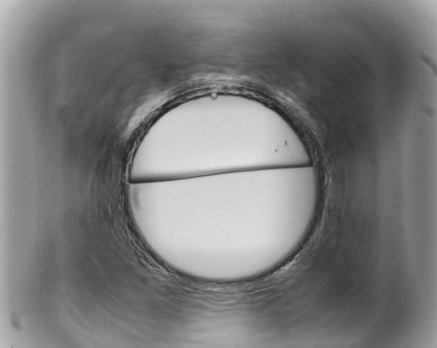 X0000100491261200806130748