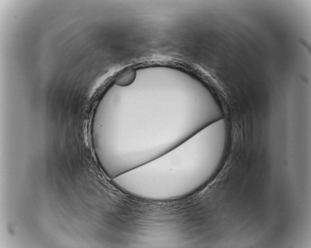 X0000100491262200806130748