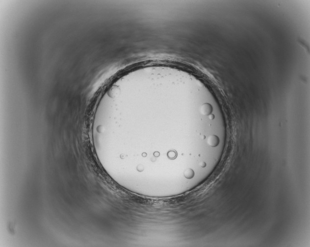 X0000100491263200806130748