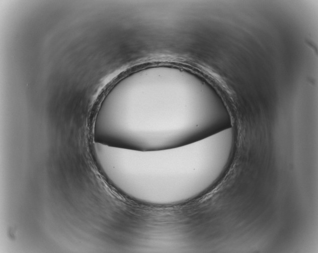 X0000100491264200806130747
