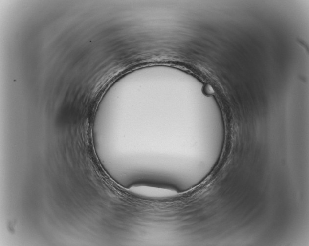 X0000100491265200806130747