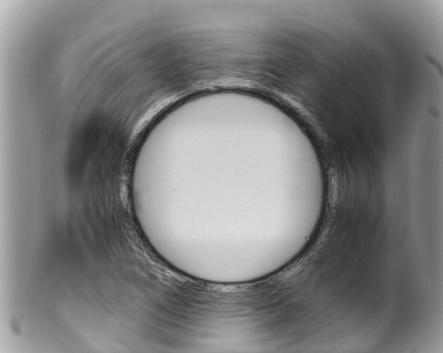 X0000100491266200806130747