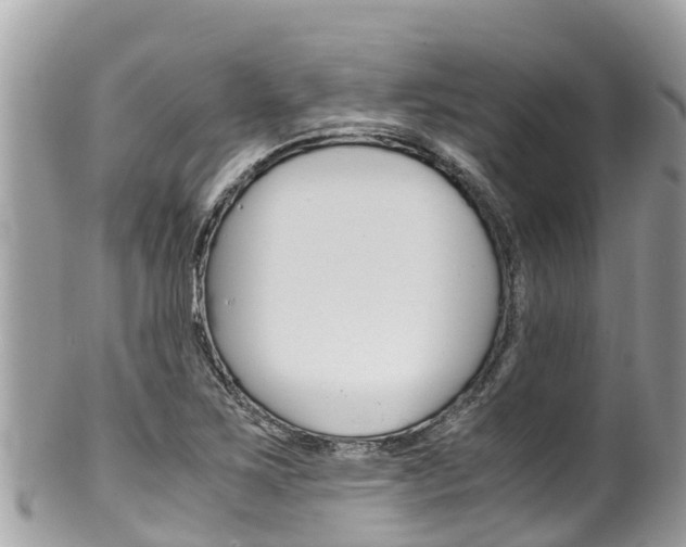 X0000100491267200806130747