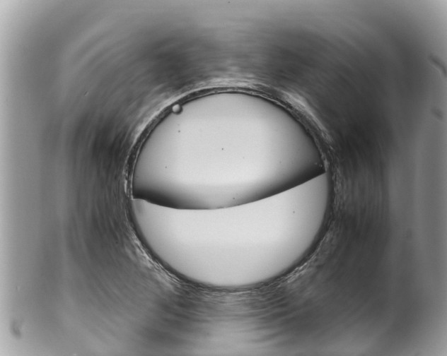 X0000100491268200806130747