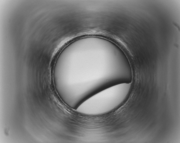 X0000100491270200806130747
