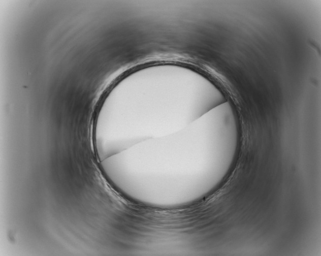 X0000100491272200806130747