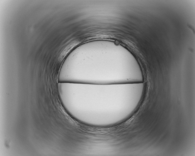 X0000100491273200806130747