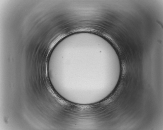 X0000100491274200806130747