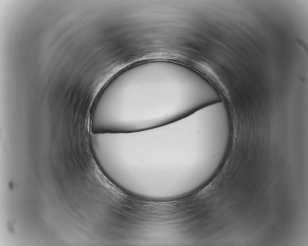 X0000100491276200806130747