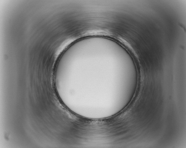 X0000100491277200806130747