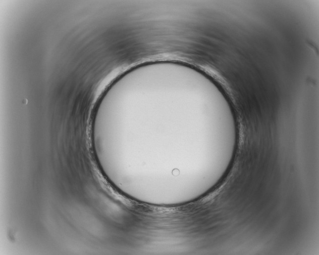 X0000100491278200806130747