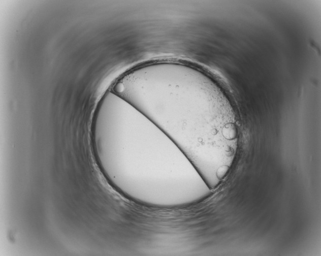 X0000100491279200806130747