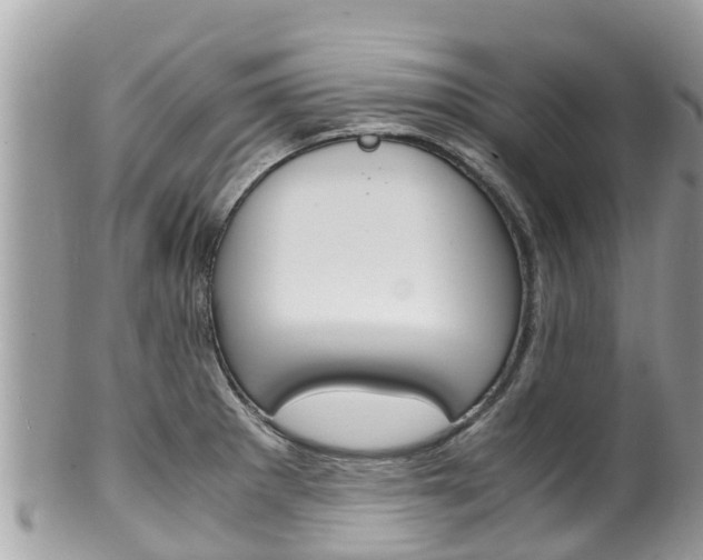 X0000100491281200806130747