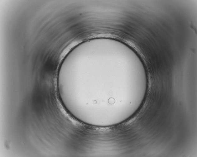X0000100491282200806130747