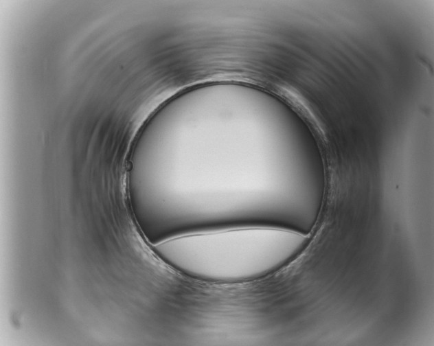 X0000100491284200806130747