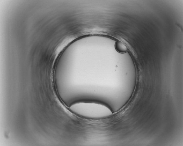 X0000100491285200806130747