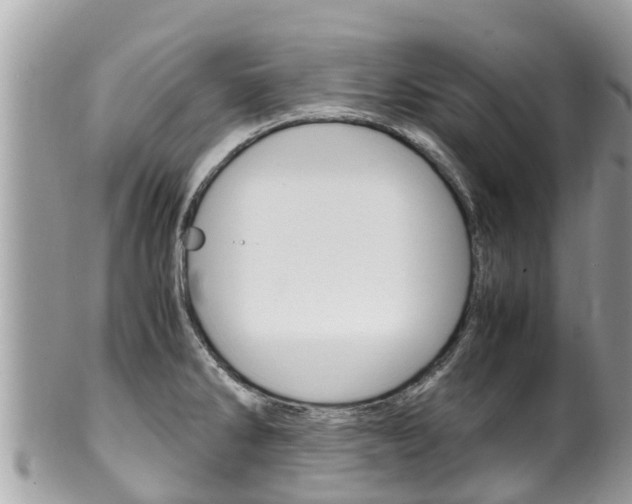 X0000100491286200806130747
