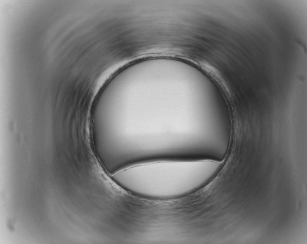 X0000100491288200806130747