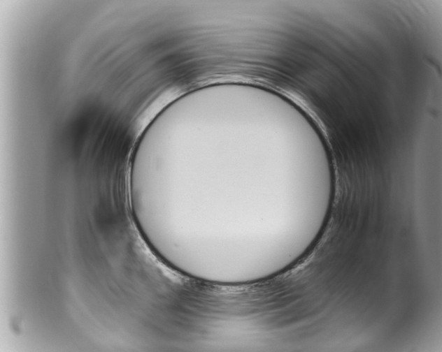 X0000100491290200806130747