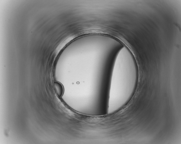 X0000100491293200806130747