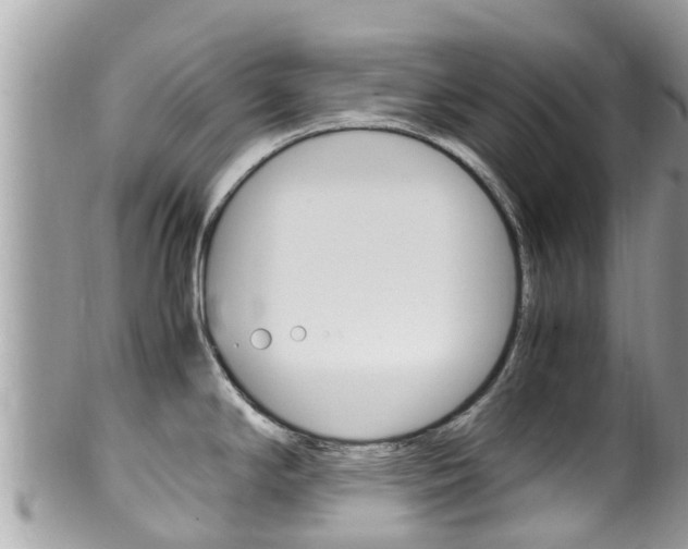 X0000100491294200806130747