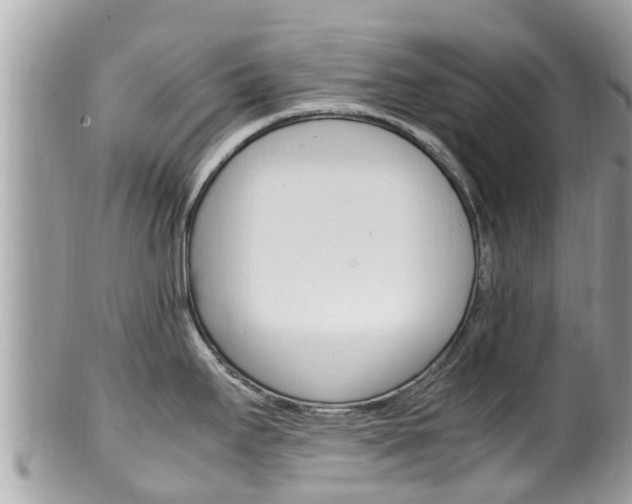 X0000100491295200806130747