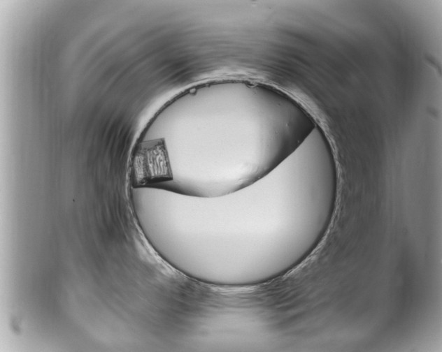 X0000100491296200806130747