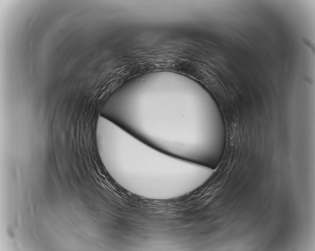 X0000100491298200806130746