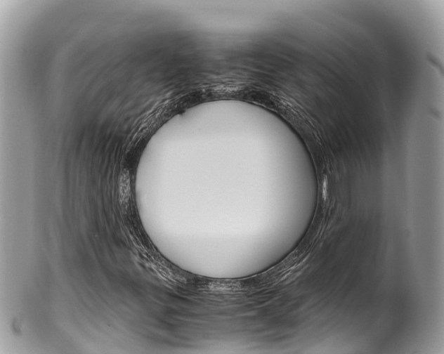 X0000100491299200806130746