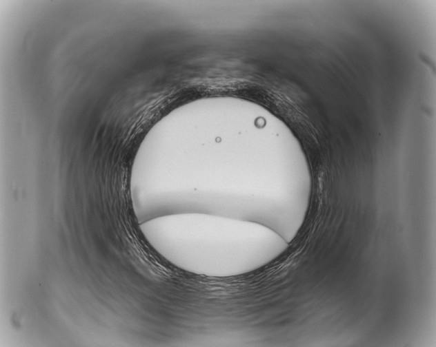 X0000100491300200806130746
