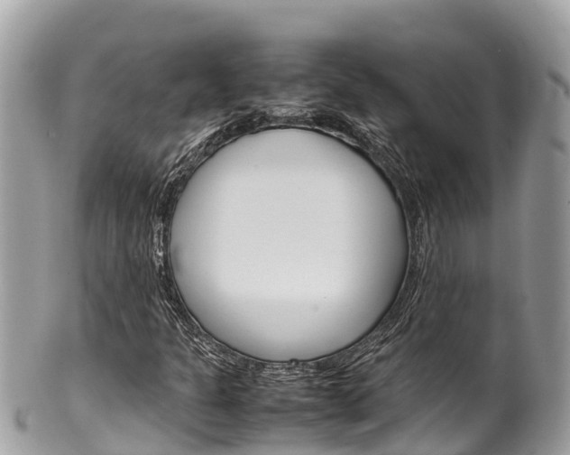X0000100491301200806130746