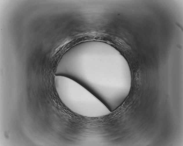 X0000100491302200806130746