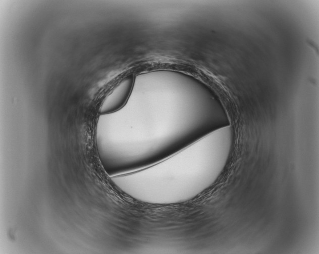 X0000100491303200806130746