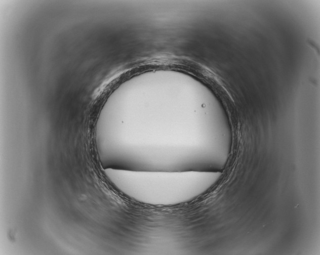X0000100491304200806130746