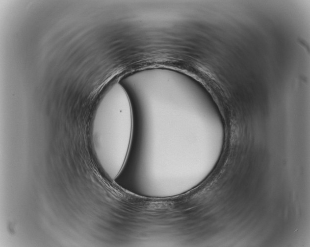 X0000100491305200806130746