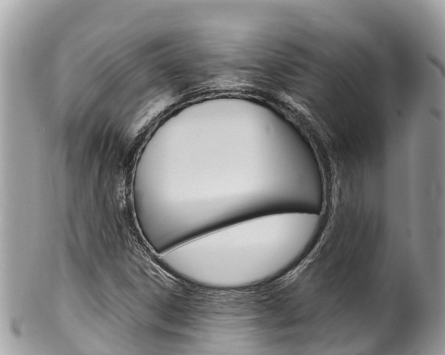 X0000100491306200806130746