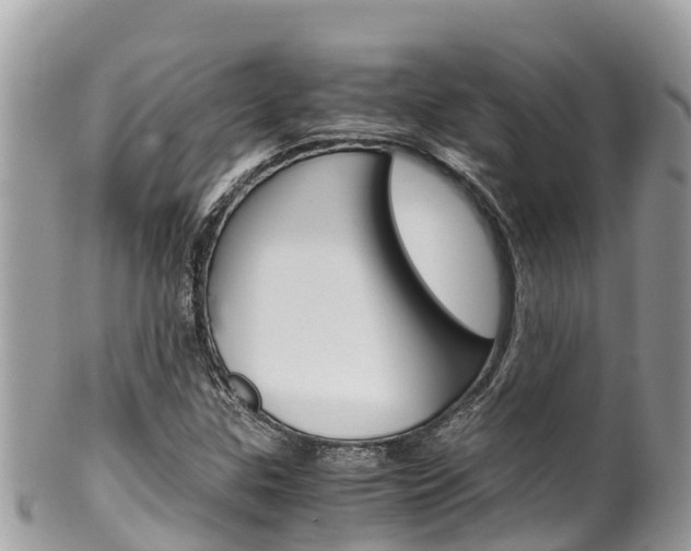 X0000100491307200806130746