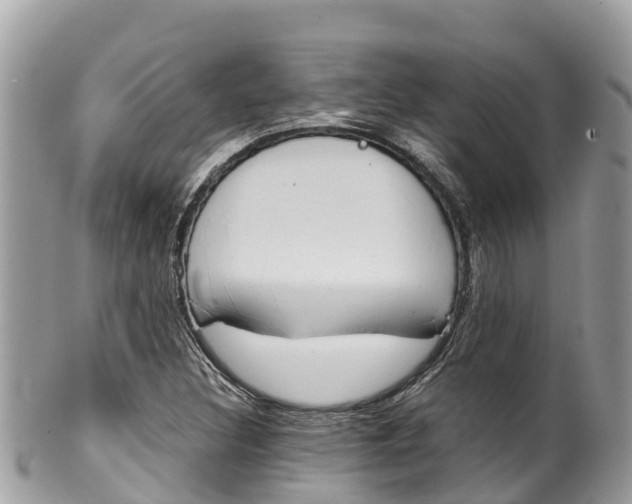 X0000100491308200806130746