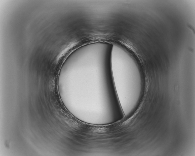 X0000100491309200806130746