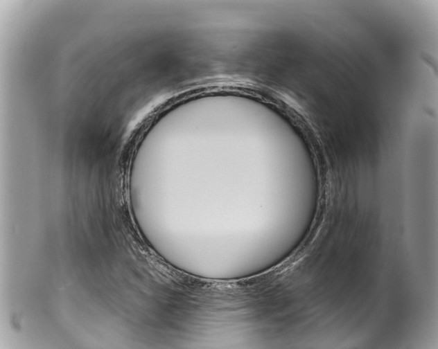 X0000100491310200806130746