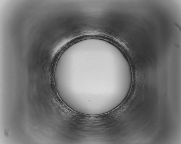 X0000100491311200806130746