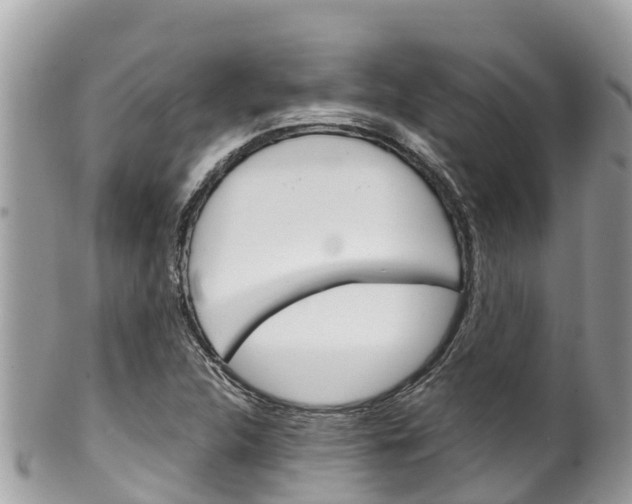 X0000100491312200806130746