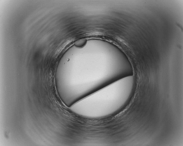 X0000100491313200806130746