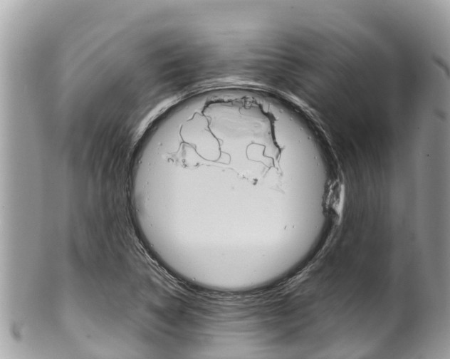 X0000100491314200806130746