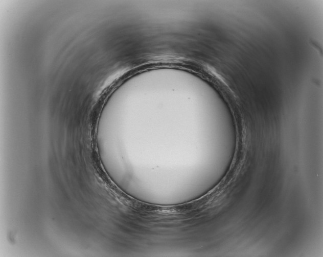 X0000100491315200806130746
